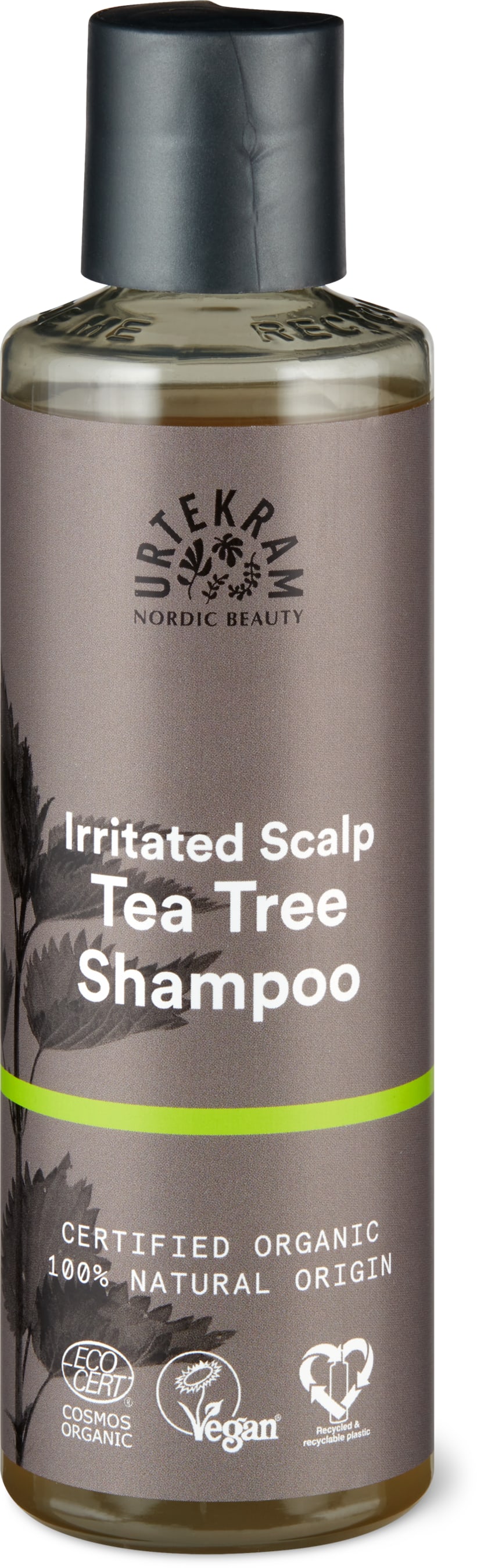Tea Tree Shampoo irritierte Kopfhaut, vegan